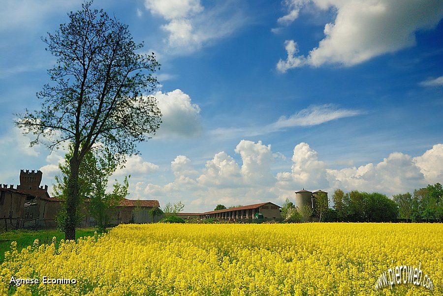 castello e casa colonica.jpg